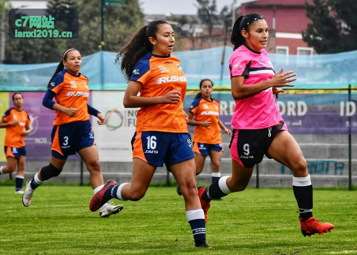 c7网站企业建站方案-教育行业官网模板展示